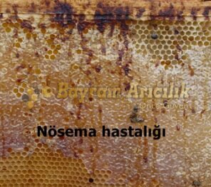 Nosema  Serena Hastalığı