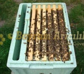 Paket arı satışı