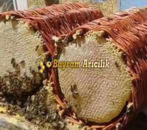 Bal Üretimi nde Hızla Başarılı Bir Arıcı Olmak İçin