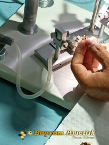 Ana arılarda suni tohumlama